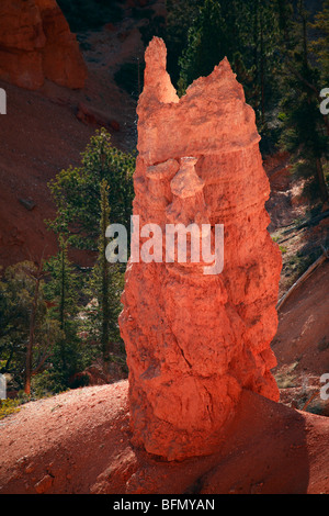 États-unis d'Amérique, de l'Utah, Ruby's Inn, Bryce Canyon, une couleur vive solitaire hoodoo au coucher du soleil. Banque D'Images