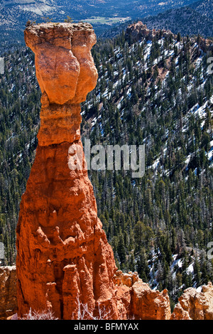 États-unis d'Amérique, de l'Utah, Ruby's Inn, Bryce Canyon, une couleur vive solitaire à hoodoo Agua Canyon. Banque D'Images