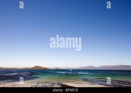 Îles Malouines, l'île de la carcasse. Vue sur Port Pattison vers Beechams Island et West Falkland (arrière-plan). Banque D'Images