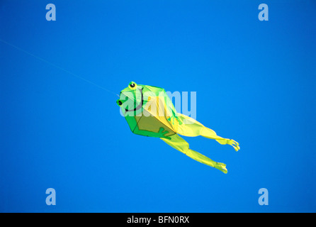 Festival Makara Sankranti ; festivals Maghi ; cerf volant en forme de grenouille ; Bombay ; Mumbai ; Maharashtra ; Inde ; Asie Banque D'Images