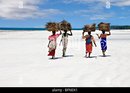 Kenya, Mombasa. Les femmes portent sur leur tête de noix de coco séchées makuti (feuilles de palmier utilisé comme matériau de couverture) sur une plage. Banque D'Images
