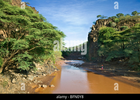 Kenya, district de Baringo. Dans une région semi-aride du Kenya, une femme recueille l'eau de la rivière près de Marigat Perkerra boueuses. Banque D'Images