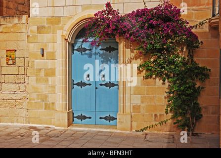 Façade dans Mdina Malte porte bleue et pierre ocre avec Bush de plus de Banque D'Images