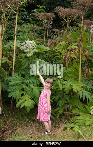 Girl pointing at La berce du Caucase (Heracleum mantegazzianum). Banque D'Images