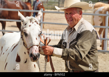 Un cowboy tient son cheval au cours de la compétition à la bride Western Kentucky Fair Banque D'Images