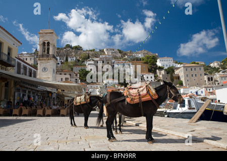 Sur l'île d'Hydra, Grèce. Banque D'Images