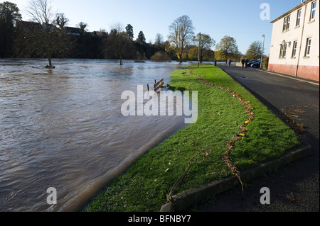 Rivière Tweed Kelso Écosse Novembre 2009 inondation les niveaux d'eau en crue de très limoneuse du ruissellement des sols agricoles Banque D'Images