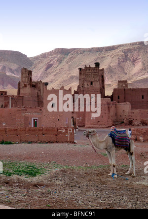 Kasbah Tamdaght, près de Ouarzazate et Ait Benhaddou, régulièrement utilisés pour le tournage au Maroc Banque D'Images