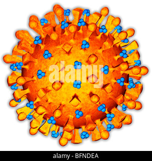 Modèle en trois dimensions par ordinateur du virus aviaire H5N1. Banque D'Images