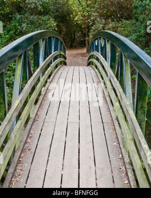 Une passerelle mène à une destination inconnue. Chemin de pays Milton Country Park, Cambridge. Banque D'Images