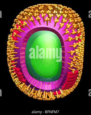 Trois dimensions du modèle généré par ordinateur de la structure de la H1N1 du virus de la grippe porcine de particule. Banque D'Images
