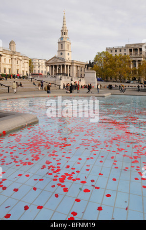 Les Coquelicots du Jour du souvenir en flottante fontaines de Trafalgar Square Banque D'Images