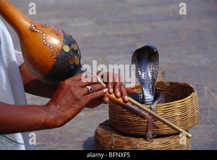 Charmeur de serpent jouer flûte pungi en face de serpent ; Nag Panchami festival , Naga Panchami festivals , Inde Banque D'Images