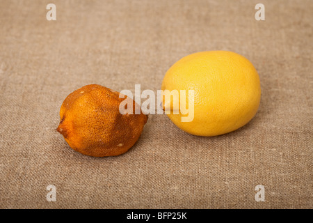 Deux fruits contre une toile - bonnes et mauvaises citrons Banque D'Images