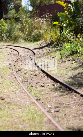 Voie de chemin de fer à travers un environnement luxuriant Banque D'Images