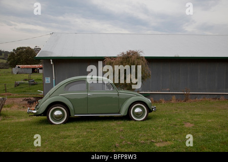 1954 Volkswagen New Beetle, l'ouest de l'Australie Banque D'Images