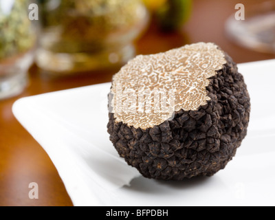 Truffe de champignons sur un plat blanc Banque D'Images