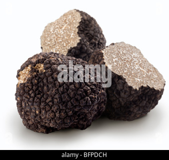 Truffes noires sur un fond blanc Banque D'Images