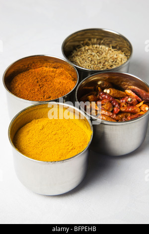 Graines de cumin poudre de Chili chaude oiseaux chilis de oeil et coriandre de terre dans des pots d'épices en acier inoxydable Banque D'Images