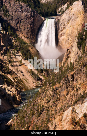 Photographie du gros Lower Falls de Yellowstone River in Yellowstone National Park Banque D'Images