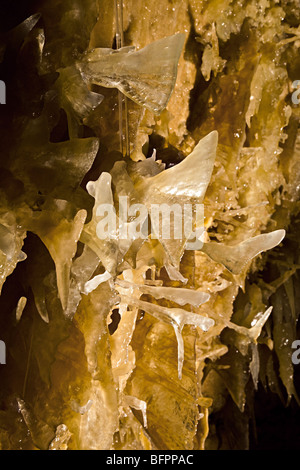 Cristaux de calcite à lame Caverns de Sonora Texas USA Banque D'Images