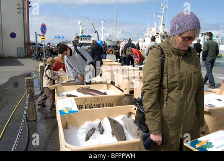 Seamans islandaise, Jour de fête nationale, l'Islande Banque D'Images