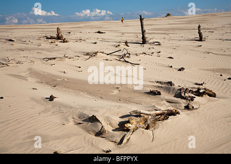 Czolpinska Wydma personne marche dans le parc national de Slowinski dune Pologne Banque D'Images