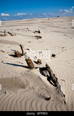 Czolpinska Wydma personne marche dans le parc national de Slowinski dune Pologne Banque D'Images