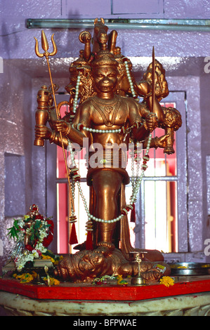 Panchmukhi Hanuman idol dans le temple ; Ujjain ; Madhya Pradesh ; Inde Banque D'Images