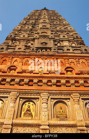 66759 NMK : Bouddha sculpté en aspect différent sur le mur et le tour élancée du temple de la Mahabodhi Bodhgaya ; ; ; Inde Bihar Banque D'Images