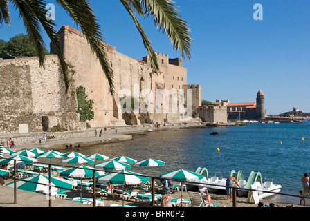 Le Château Royal, l'église Notre Dame des Anges et Plage de port d Avall Collioure Banque D'Images