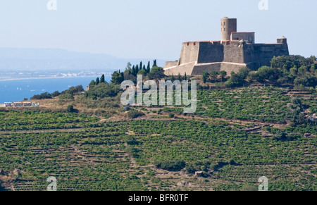 Fort St Elme Pyrénées Orientales Banque D'Images
