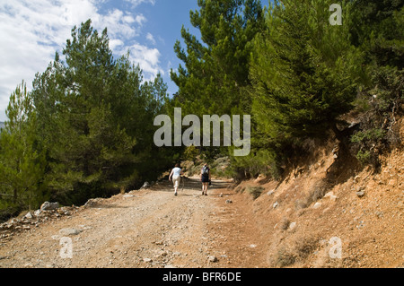 dh Selakano forêt IERAPETRA GRÈCE CRÈTE les femmes de tourisme marchant sur la piste de la forêt de montagne randonnée Banque D'Images