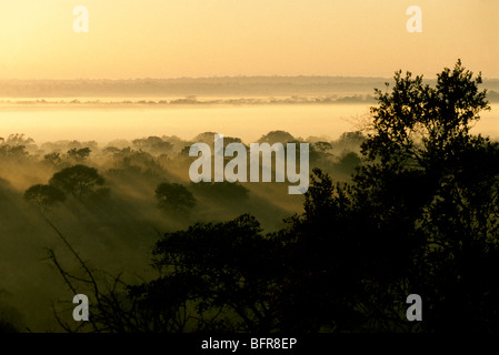 Mathekenyane lookout paysage avec brume matinale Banque D'Images