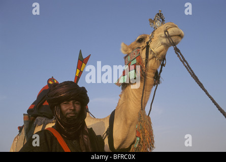 Homme touareg à la tête d'un chameau dans le Sahara Banque D'Images
