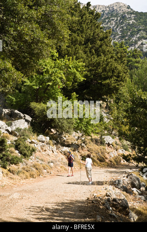 Dh Selakano forest IERAPETRA GRÈCE CRETE Tourist femmes à la recherche de pins sauvages mountain forest track Banque D'Images