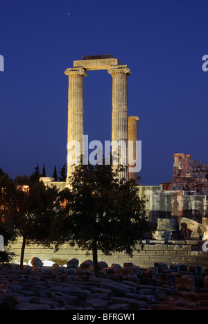 Didim, Didymes, Didymaion, temple d'Apollon, oracle, important, au sud-ouest de la côte sud de la mer Egée, sur la côte ouest de la Turquie, la Turquie, l'Europe. Banque D'Images