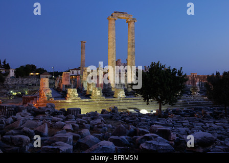 Didim, Didymes, Didymaion, temple d'Apollon, oracle, important, au sud-ouest de la côte sud de la mer Egée, sur la côte ouest de la Turquie, la Turquie, l'Europe. Banque D'Images