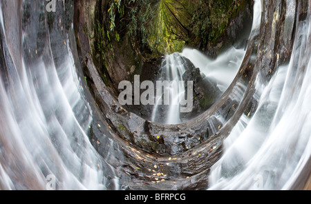 Laurel Falls, Great Smoky Mountain National Park, New York Banque D'Images