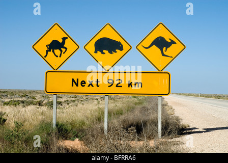 Avertissement de trafic signe sur l'Eyre Highway, plaine du Nullarbor, Australie du Sud Banque D'Images