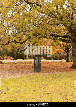 Rufus Stone marque l'endroit où le Roi Guillaume II a été tué par une flèche dans AD1100. New Forest Hampshire UK Banque D'Images