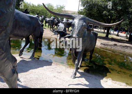 Texas Longhorn Cattle Drive bronze sculpture, Convention Center Dallas Texas USA Banque D'Images