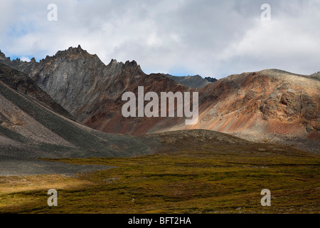 Le parc territorial de Tombstone, Yukon, Canada Banque D'Images