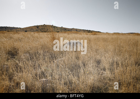 Marfa, Texas, États-Unis Banque D'Images