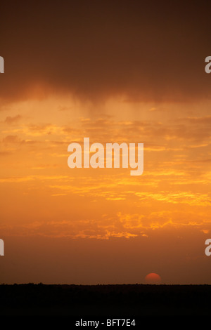 Le coucher du soleil, désert de Thar, Rajasthan, Inde Banque D'Images