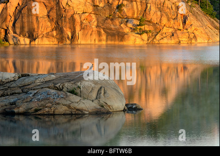 Falaises de granit reflété dans le lac George à l'aube, le Parc provincial Killarney, Ontario, Canada Banque D'Images