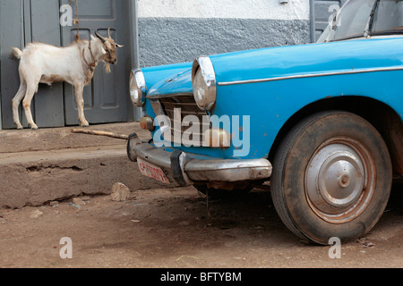 Dans Ethioipia Taxi et chèvre Banque D'Images