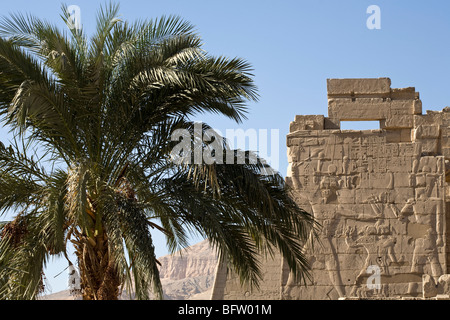 Palmier et scène de châtiment sur Premier pylône à Médinet Habou, temple funéraire de Ramsès III, rive ouest du Nil, Louxor, Egypte Banque D'Images