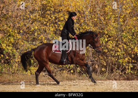 Portrait d'une femme montant un cheval en milieu rural Banque D'Images