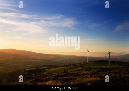 Beallough d'éoliennes, au-dessus de Portlaw, comté de Waterford, Irlande Banque D'Images